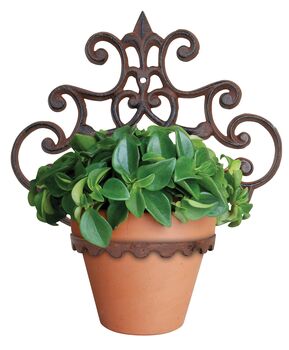 Ornate Cast Iron Wall Plant Pot Holder Brown Bracket, 3 of 4