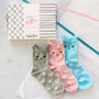 Cute Kitten Box Of Socks, thumbnail 3 of 5