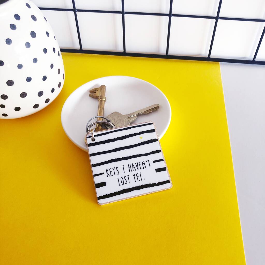 Lost Keys Funny Keyring By Snappy Crocodile Designs