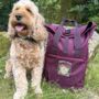 Personalised Made For Adventure Dog Lover Backpack, thumbnail 3 of 12