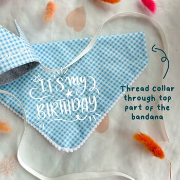 Gingham Birthday Dog Bandana, 6 of 8