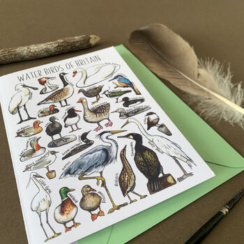 Water Birds Of Britain Greeting Card, 6 of 12