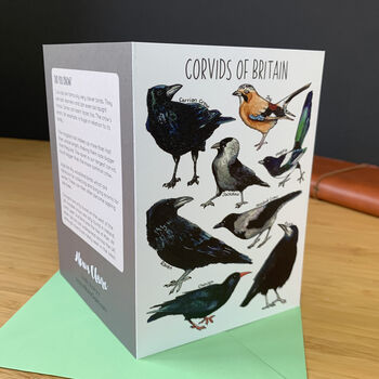 Corvids Of Britain Art Blank Greeting Card, 4 of 5