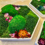 Hexagonal Moss Wall Art, Honeycomb Moss Wood Hexagon, thumbnail 3 of 12