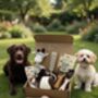 Natural Dog Gift Box – Eco Friendly Toys, Treats And Chews | Perfect For Puppies And Adult Dogs | Sustainable Dog Lover Gift, thumbnail 2 of 6
