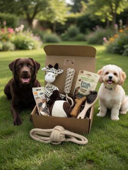 Natural Dog Gift Box – Eco Friendly Toys, Treats And Chews | Perfect For Puppies And Adult Dogs | Sustainable Dog Lover Gift, 2 of 6
