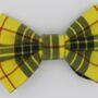 Yellow Check Dog Bow Tie, thumbnail 3 of 5