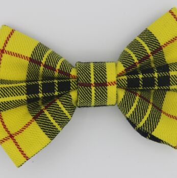 Yellow Check Dog Bow Tie, 3 of 5