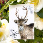 Inky Reindeer Christmas Postcards, thumbnail 5 of 5