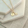 Gold Plated Pisces And Birthstone Necklace, thumbnail 2 of 7
