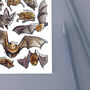 Bats Of Britain Watercolour Postcard, thumbnail 8 of 8