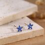 Sterling Silver Blue Cz Flower Internally Threaded Flat Back Earrings, thumbnail 1 of 11