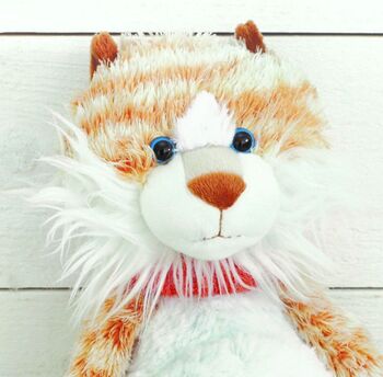 Ginger Cat Soft Toy, Keepsake Personalised Heart, 2 of 4