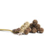 Choc Chip Muffin Plant Protein Breakfast Snack, thumbnail 2 of 2