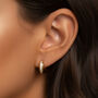 Women's Gold Thick Huggie Hoop Earrings With Sparkling Stones, thumbnail 1 of 4