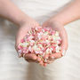 Will You Be My Flower Girl Confetti Pop, Proposal, thumbnail 8 of 9