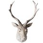 Weathered Stag Head, thumbnail 4 of 4