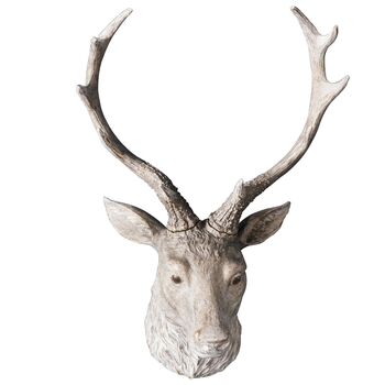 Weathered Stag Head, 4 of 4