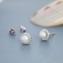 Sterling Silver Genuine Freshwater Pearl Cz Stud Earrings, thumbnail 3 of 12