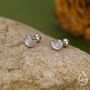 Sterling Silver Ammonite Nautilus Shell 18 G Screw Back Stud Earrings With Ball Backs, thumbnail 1 of 11