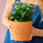Personalised Gardening Gift Terracotta Plant Pot, thumbnail 1 of 4