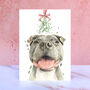 Staffordshite Bull Terrier Mistletoe Christmas Card, thumbnail 1 of 2