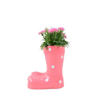 Pink Polka Dot Wellies Planter With Dianthus Plant, 4 of 5