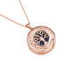 Personalised 18 K Rose Gold Plated Tree Of Life Locket, thumbnail 4 of 12