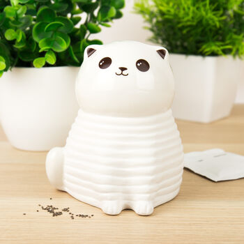 Grow Your Own Cat Chia Planter, 3 of 5