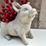 Adorable Pig Plant Pot Stone Indoor Planter Fun Pig Gift, thumbnail 5 of 10