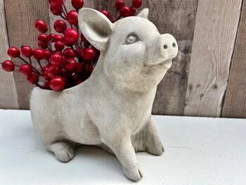 Adorable Pig Plant Pot Stone Indoor Planter Fun Pig Gift, 5 of 10