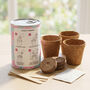 Personalised January Grow Your Own Flower Gift, thumbnail 4 of 4
