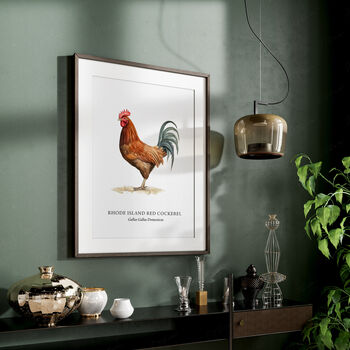Rhode Island Red Cockerel Bird Print, 2 of 6