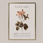 Birth Flower Wall Print 'Carnation' For January, thumbnail 6 of 9