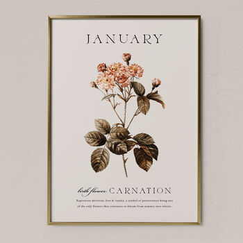 Birth Flower Wall Print 'Carnation' For January, 6 of 9