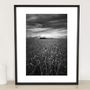 Wheat Field, Occold, Suffolk Photographic Art Print, thumbnail 1 of 4