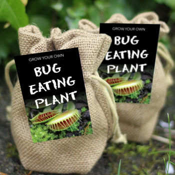 Bug Eating Plant Jute Bag Grow Set, 4 of 7