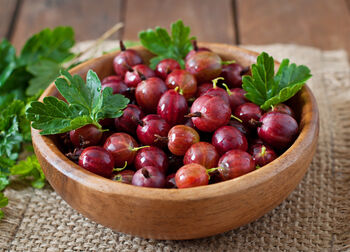 Gooseberry Plants, 'Hinnonmaki Red', 6 of 8