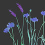 Lavender And Cornflowers Fine Art Print, thumbnail 3 of 5