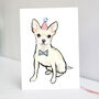 Chihuahua Birthday Card, thumbnail 1 of 3