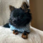 Powder Blue/Peppermint Cosy Knit Dog Jumper, thumbnail 6 of 12