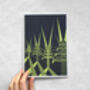 Pack Of Eight Informative Greetings Cards, thumbnail 5 of 10