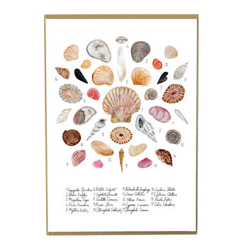 Conchae Sea Shell Art Print, 2 of 9