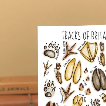 Animal Tracks Of Britain Greeting Card, 2 of 10