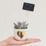 Gold Heart Mini Planter With A Succulent Or Cacti, thumbnail 3 of 7