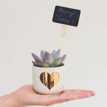Gold Heart Mini Planter With A Succulent Or Cacti, 3 of 7