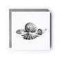 Seashells Seaside Greeting Card, thumbnail 2 of 6