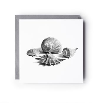 Seashells Seaside Greeting Card, 2 of 6
