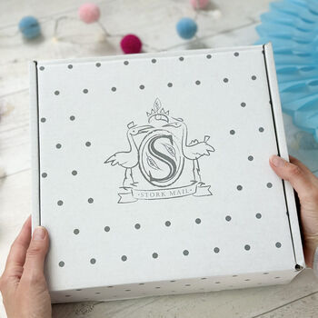 Bump To Baby, Gift For New And Expectant Parents, Box, 5 of 12