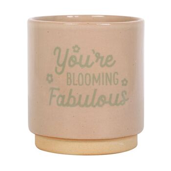 You're Blooming Fabulous Plant Pot, 3 of 3